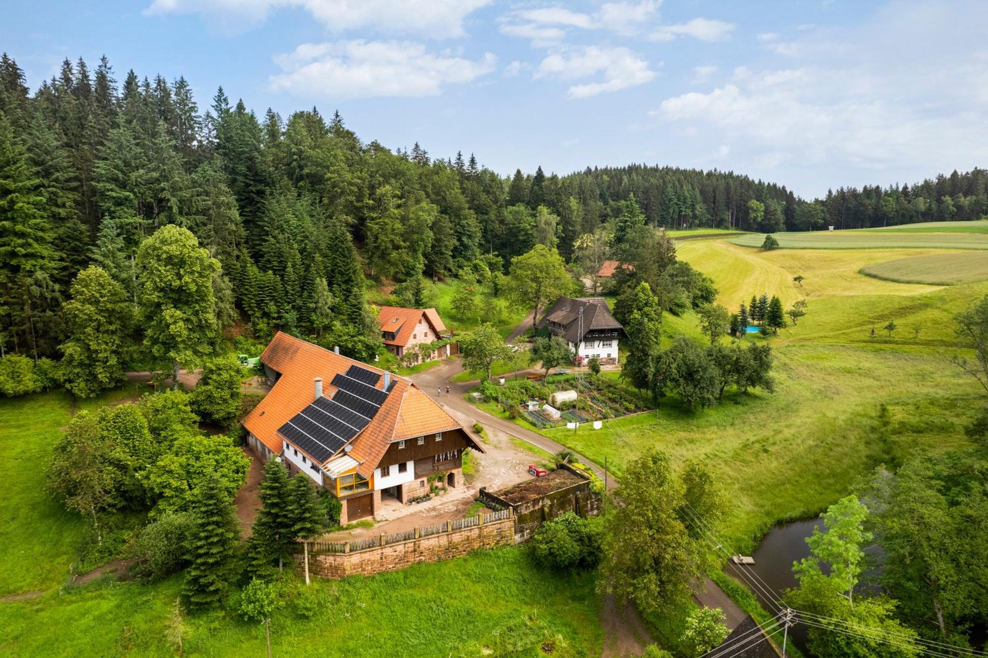 Hexenhaeuschen Villa Wolfach Exterior photo