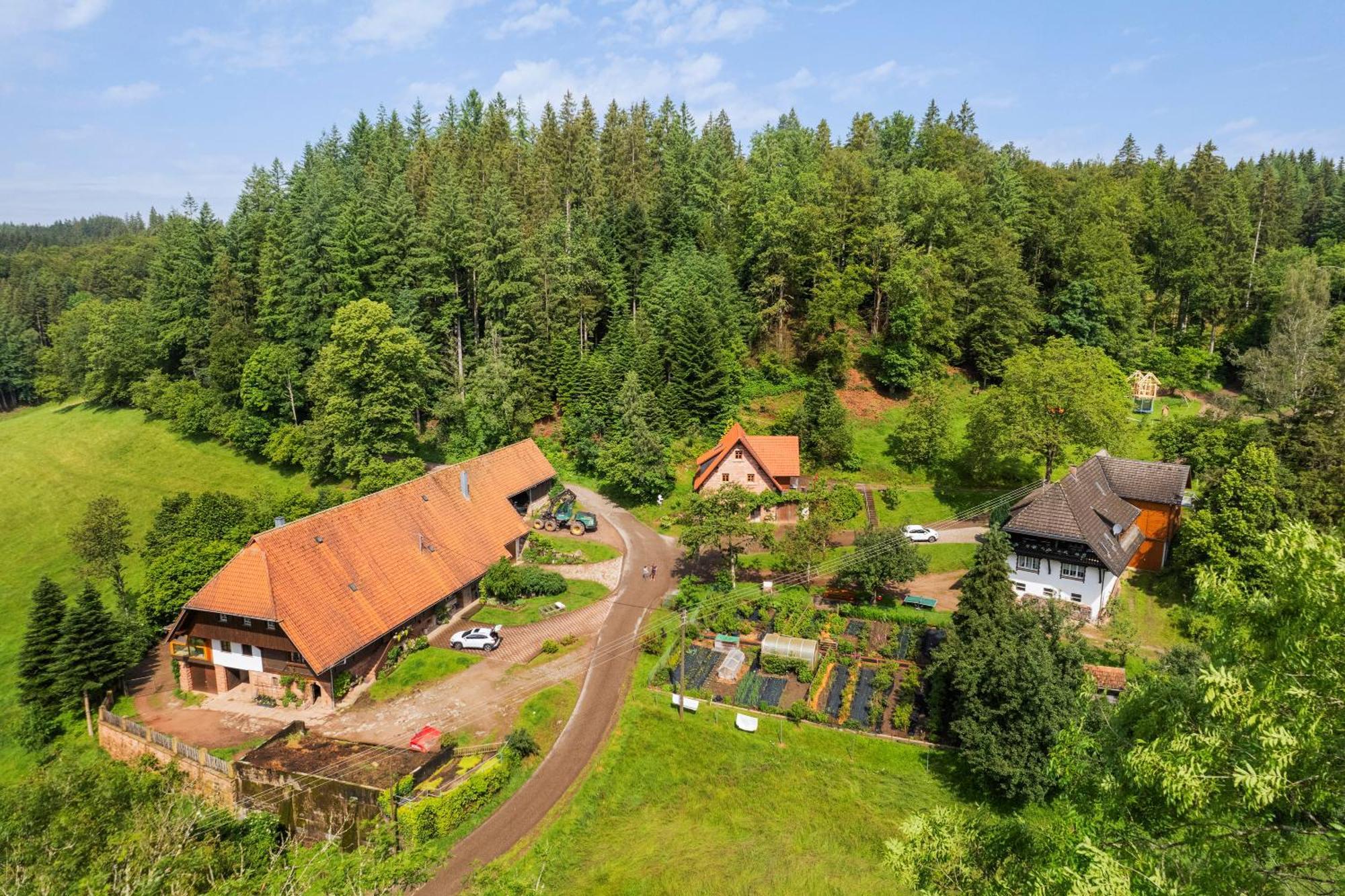 Hexenhaeuschen Villa Wolfach Exterior photo